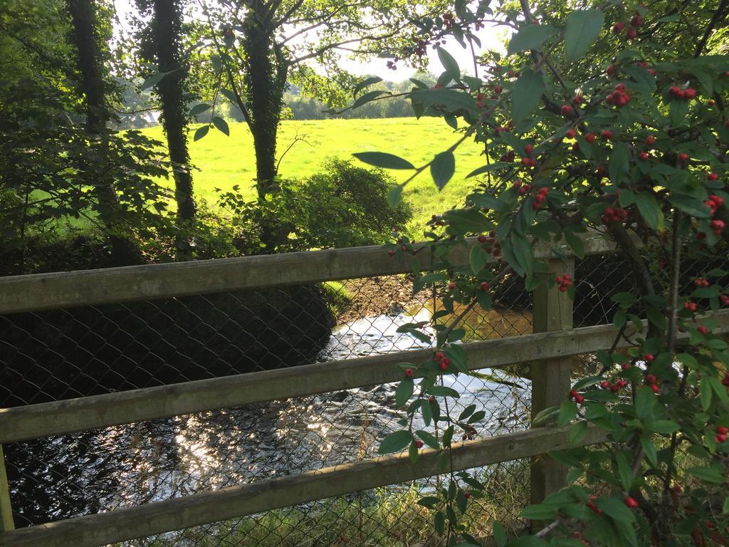 Riverbank, Country Pub And Guesthouse Carrickmacross Esterno foto
